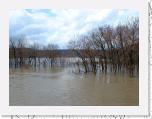 03-25 Flood1 * 600 x 450 * (44KB)
